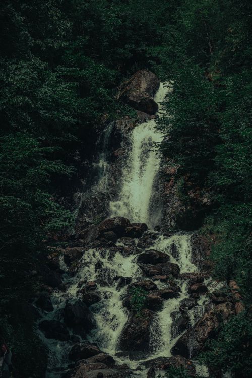 Free Vertical shot of a serene waterfall surrounded by dense green forest foliage in summer. Stock Photo