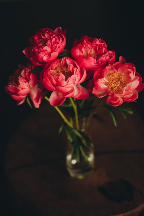 A vase with red peonies in it on a wooden table