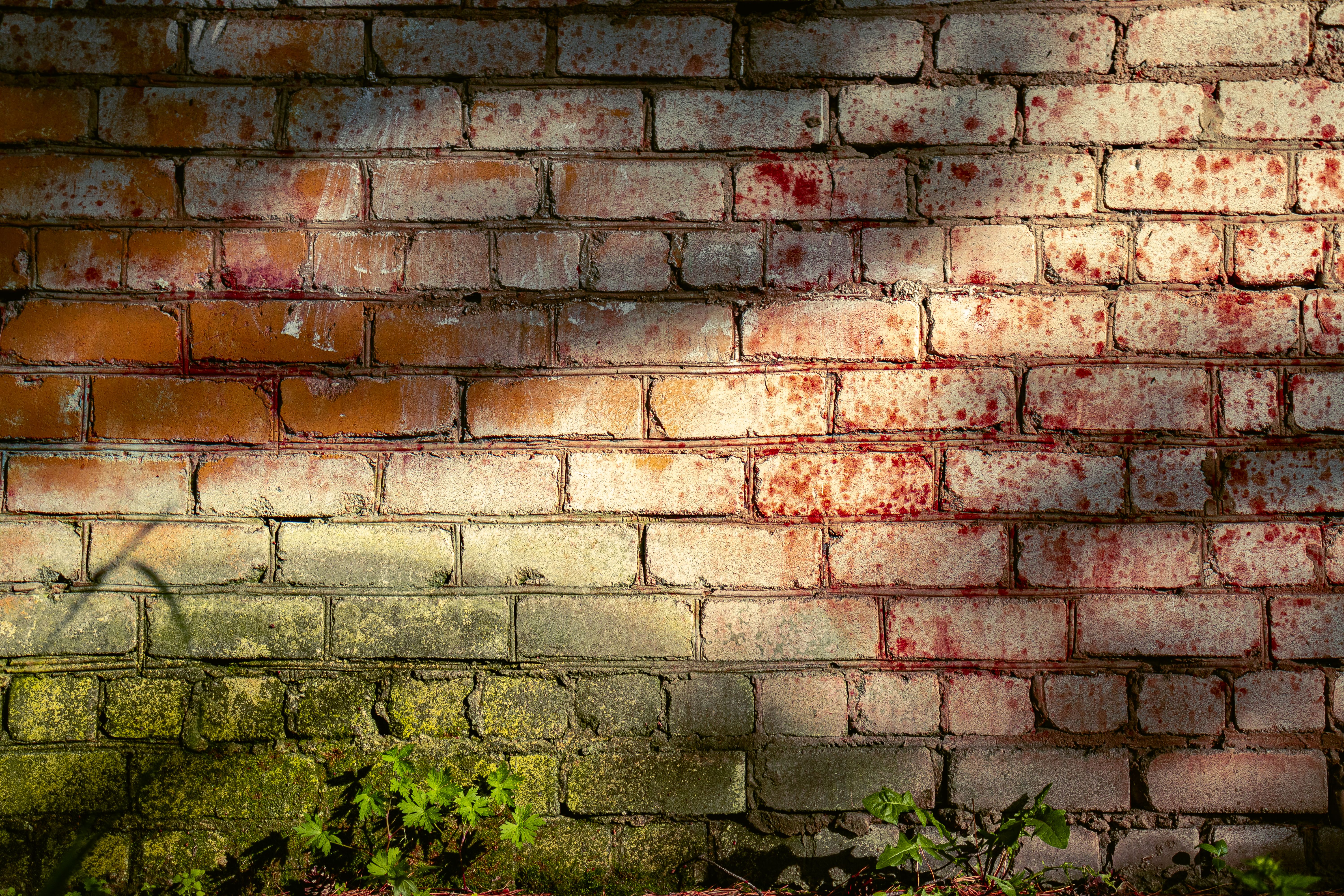 Exterior of an aging Oakland commercial building with visible water staining near the foundation indicating potential mo