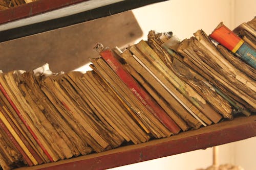 Free stock photo of book bindings, book series, book shelves Stock Photo