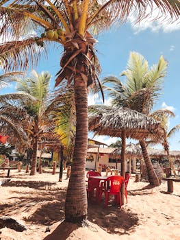 Sunny beach scene with palm trees and seating area, perfect for a summer vacation.
