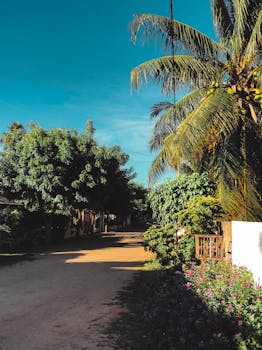 这条街道风景优美，两旁种着棕榈树和鲜艳的花朵，头顶是明亮的蓝天