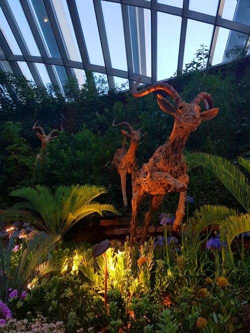 Darmowe zdjęcie z galerii z ogród botaniczny, singapur