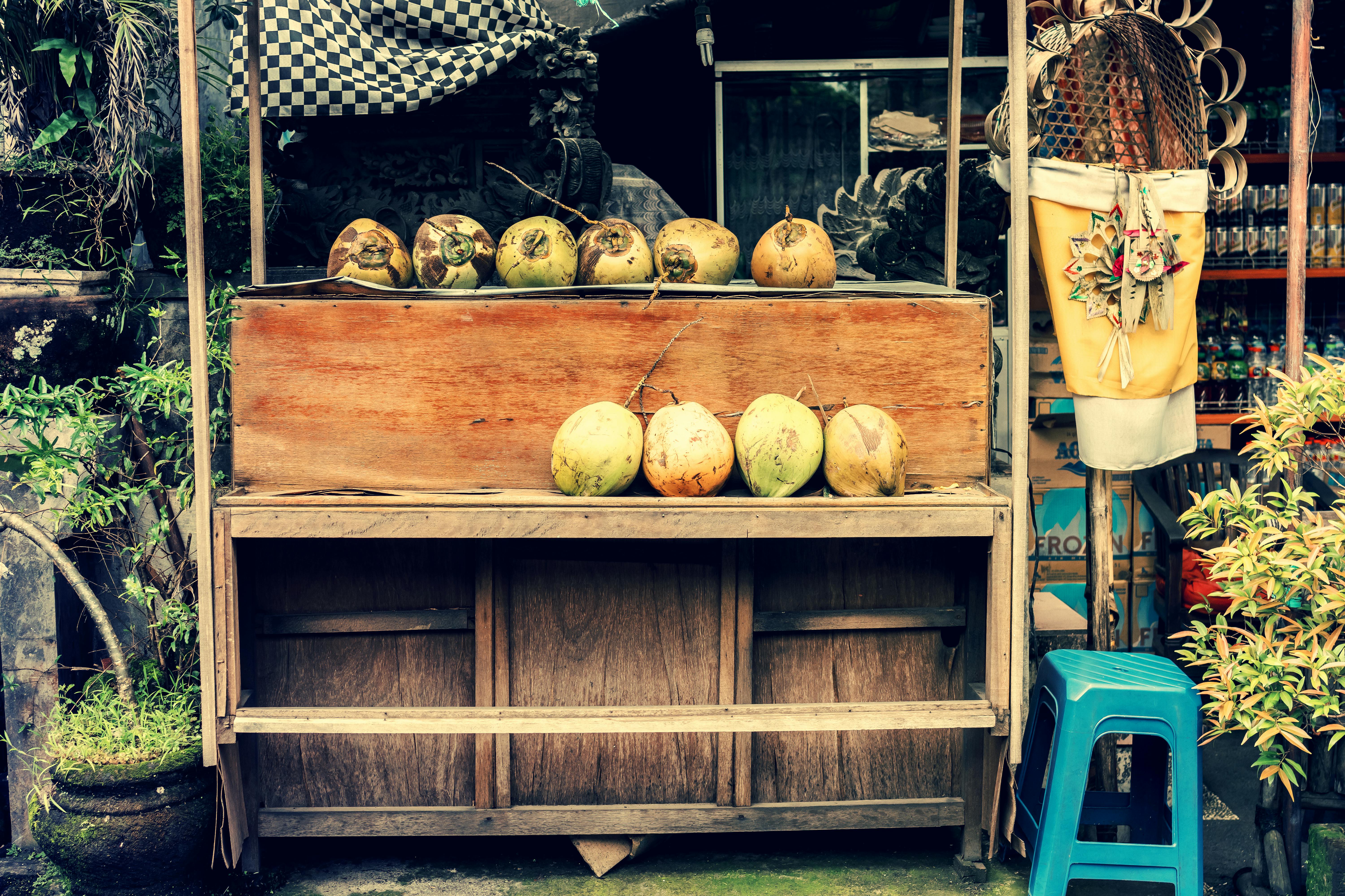 Photo of Store Selling Coconuts · Free Stock Photo