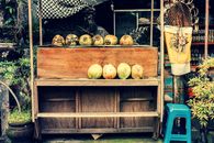 Photo of Store Selling Coconuts
