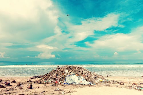 Photo of Trash Lot on Shore