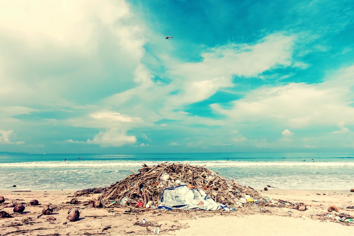 Sampah Merupakan Salah Satu Pencemar Utama di Laut