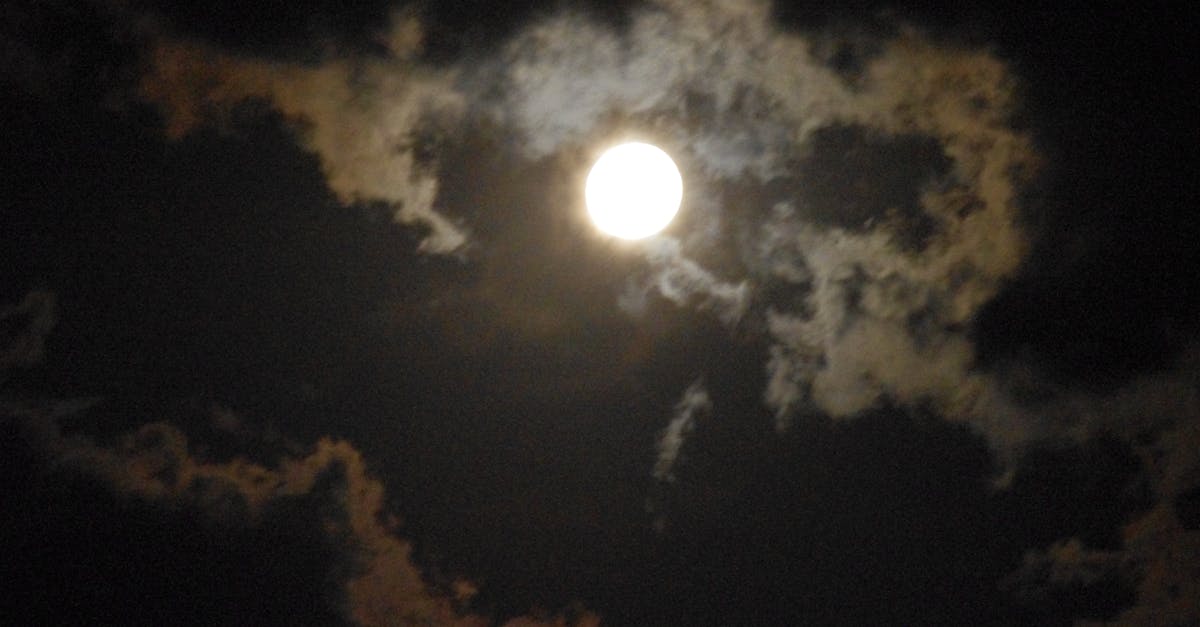Free stock photo of full moon, nature