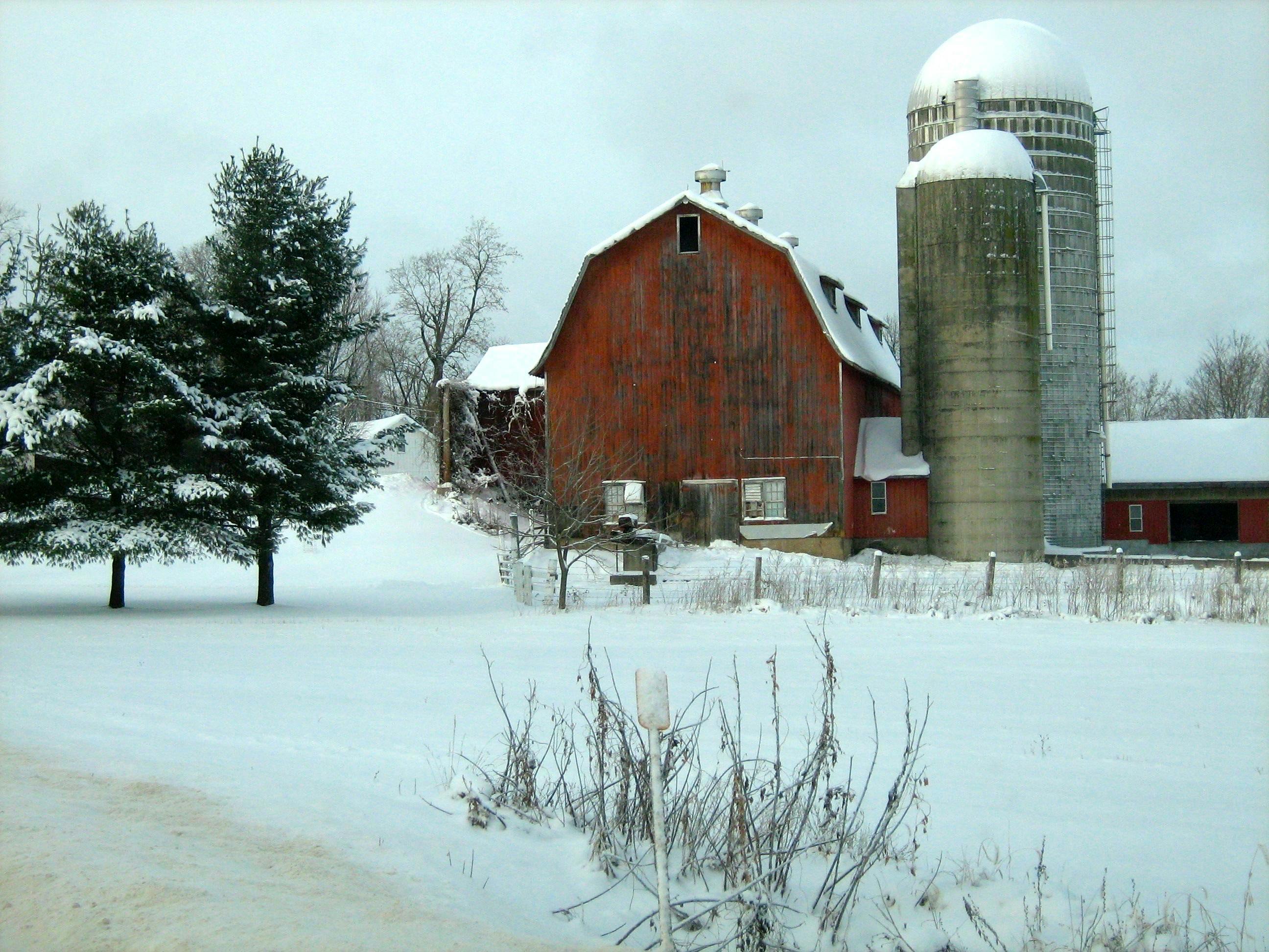 Free stock photo of barn, farm, snow