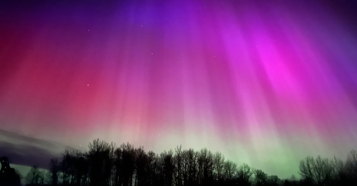Stunning aurora borealis in vibrant colors illuminating a winter night sky above silhouetted trees.