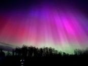 Stunning aurora borealis in vibrant colors illuminating a winter night sky above silhouetted trees.