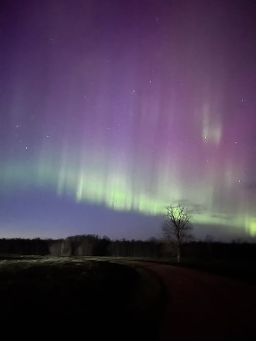 The aurora bore is seen in the sky over a road