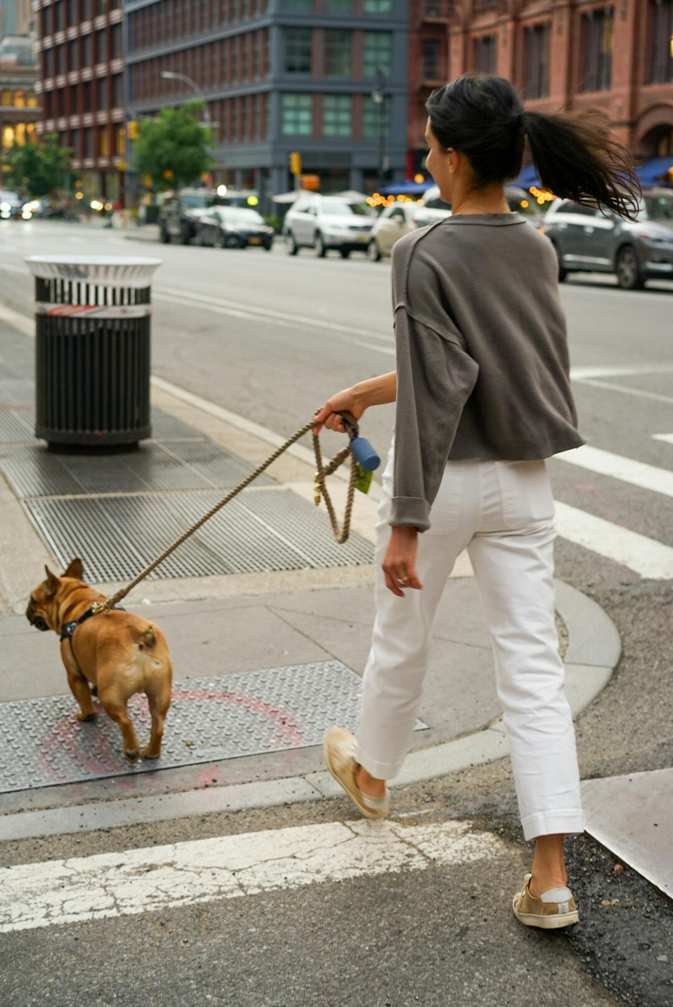 dog walking pants