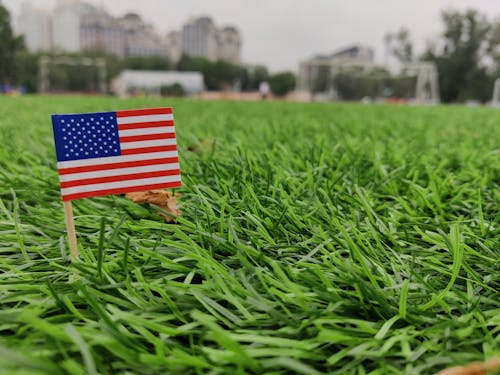 Kostenloses Stock Foto zu amerika, amerikanische flagge, bundesland