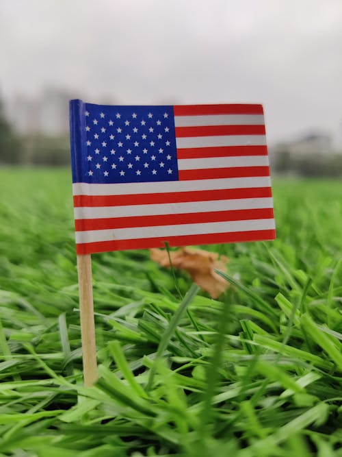 USA Flag on green grass field