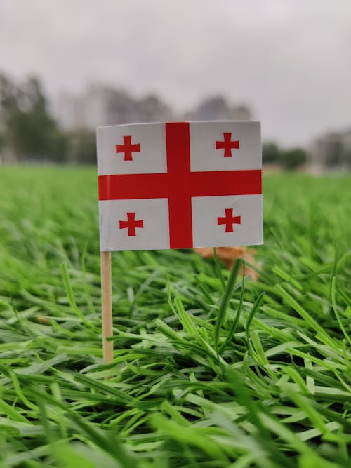 Georgia Flag on green grass field