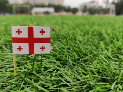Georgia Flag on green grass field