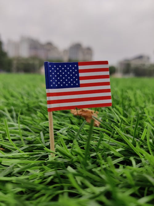 Kostenloses Stock Foto zu amerika, amerikanische flagge, bundesland