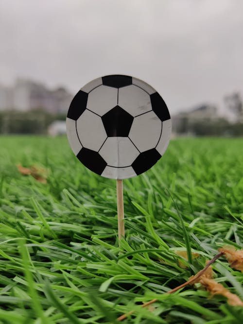Ball on green grass field