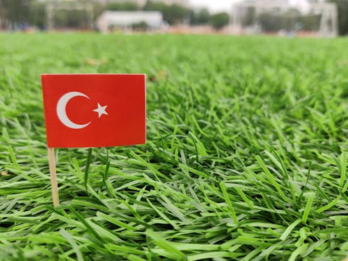 Turkey / Türkiye Flag on green grass field