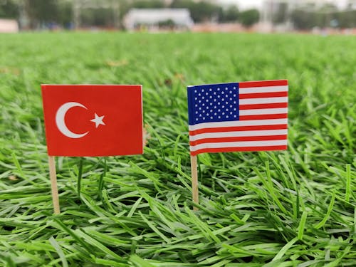 Türkiye and USA Flags on green grass field