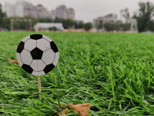 Ball on green grass field