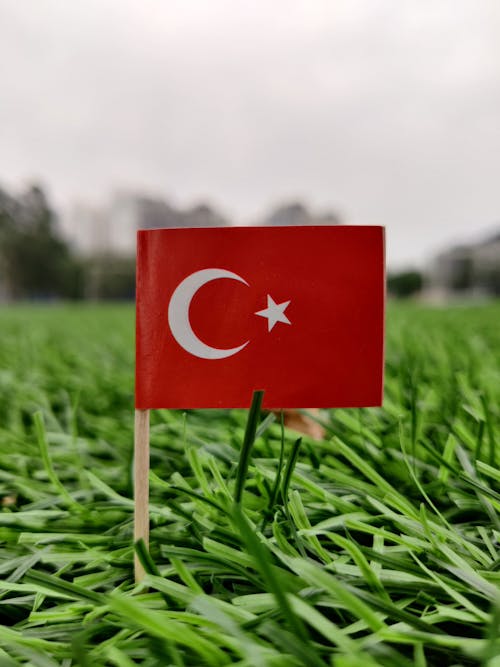 Turkey / Türkiye Flag on green grass field