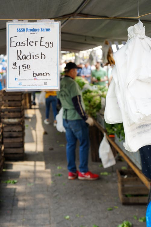 Free stock photo of farmers market