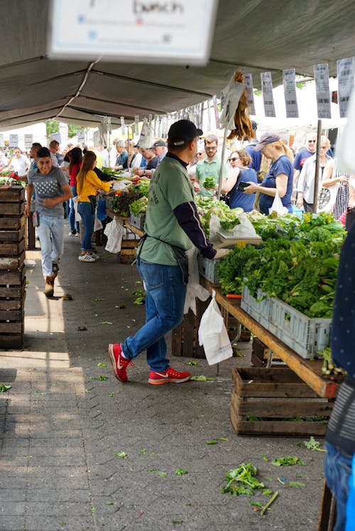 Free stock photo of farmers market