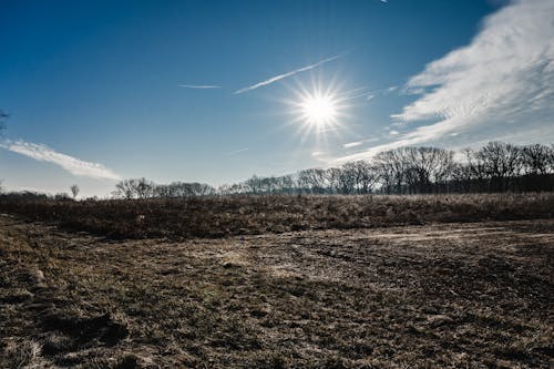 Free Foto d'estoc gratuïta de arbres, bonic paisatge, cel blau Stock Photo