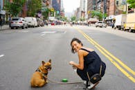 一位女士带着她的法国斗牛犬，在纽约繁华的街道上微笑着，捕捉城市生活的瞬间
