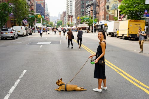 Wanita Dengan Anjing Di Tengah Jalan