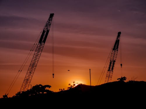 Free stock photo of crane, cranes, dusk