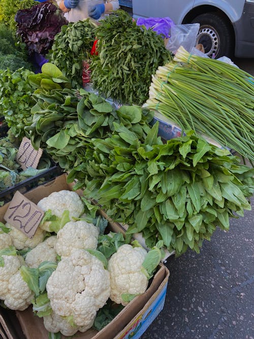 Foto profissional grátis de comida saudável, ecológico, salada fresca