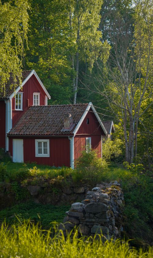 Free A picturesque red house nestled in a serene forest setting, surrounded by greenery. Stock Photo