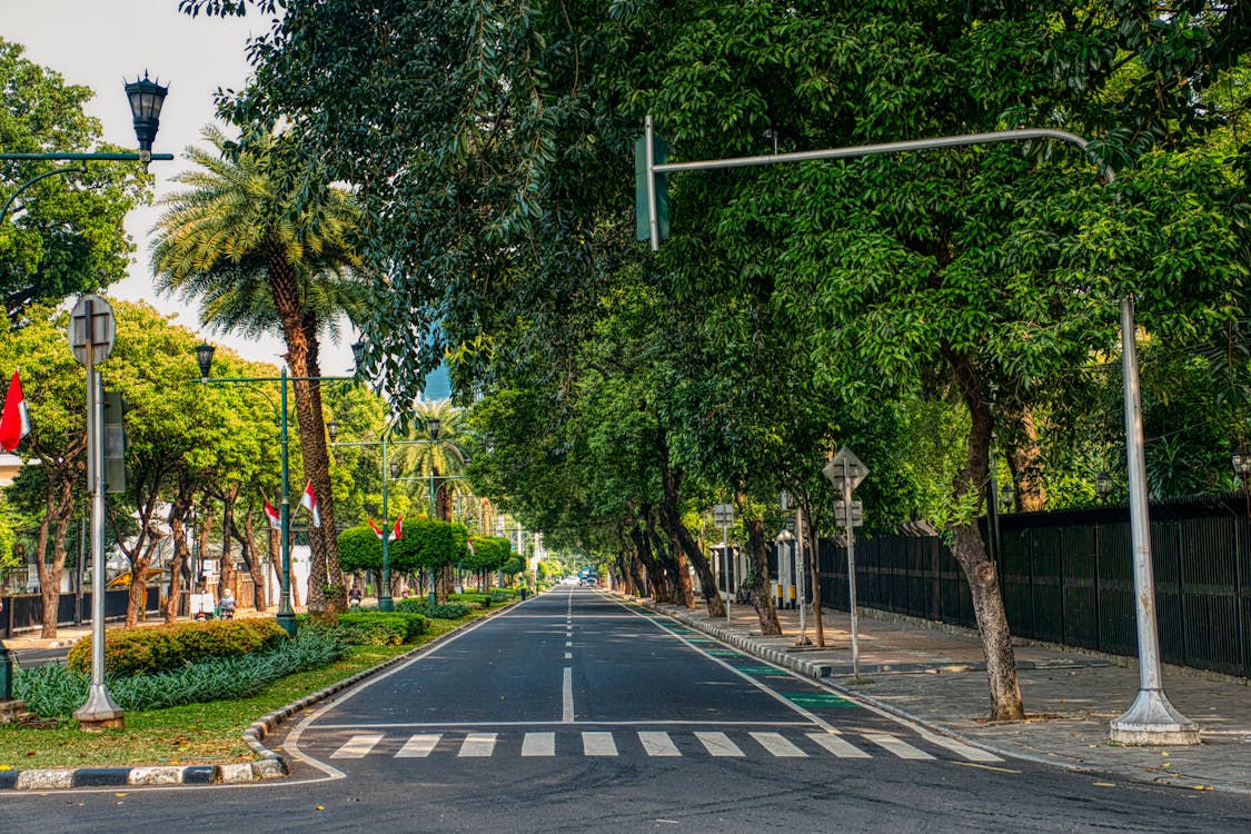 Free Road Beside Trees And Sidewalk Stock Photo