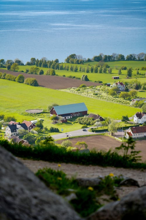 Foto profissional grátis de agricultura, ao ar livre, área