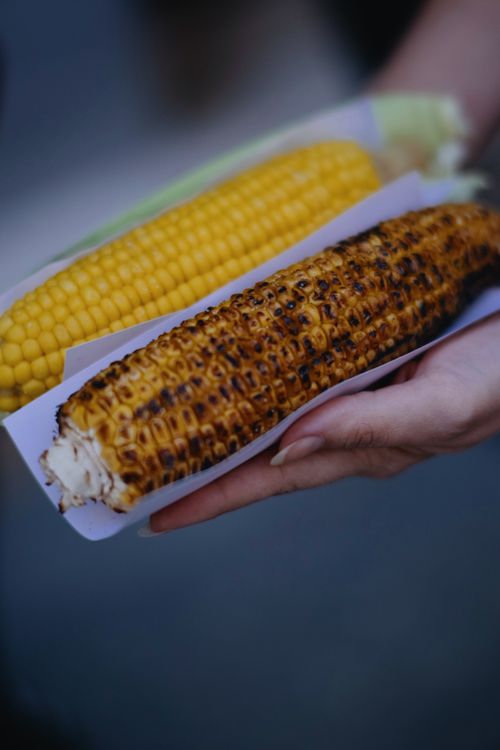 Free Two corn cobs, one grilled and one fresh, held by a woman's hand in Istanbul. Stock Photo