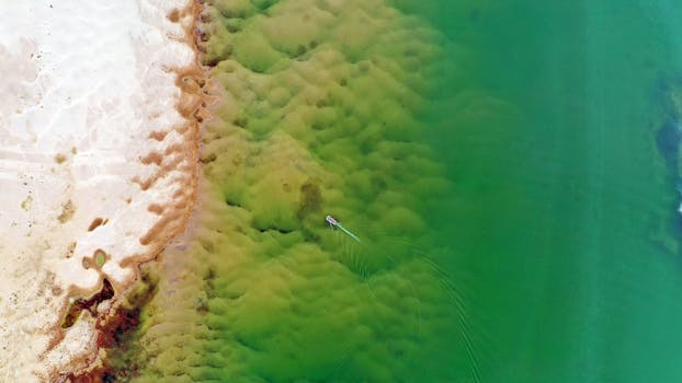 Image shows the impact of the Rajasthan Gurjar community protest, with train services affected.  Latest news update.