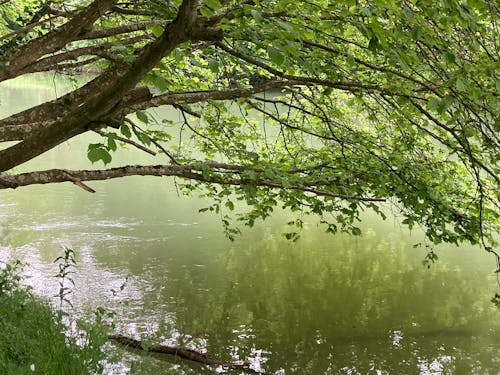 Bord de la Seine - Printemps orageux