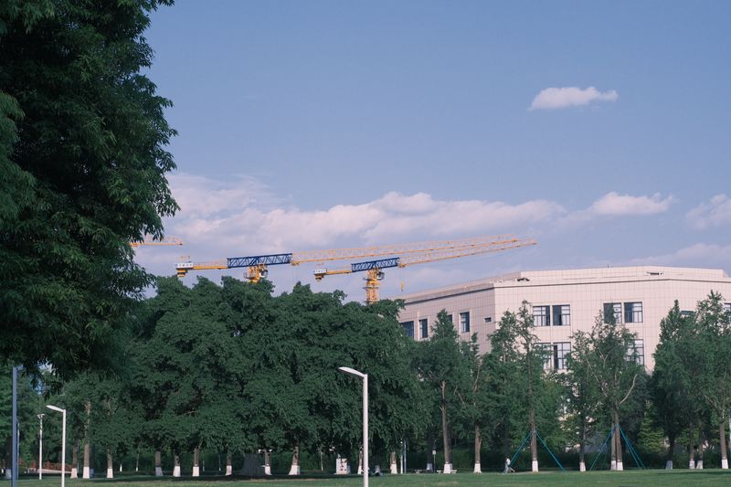 A contemporary building surrounded by trees and construction cranes, under a clear sky.