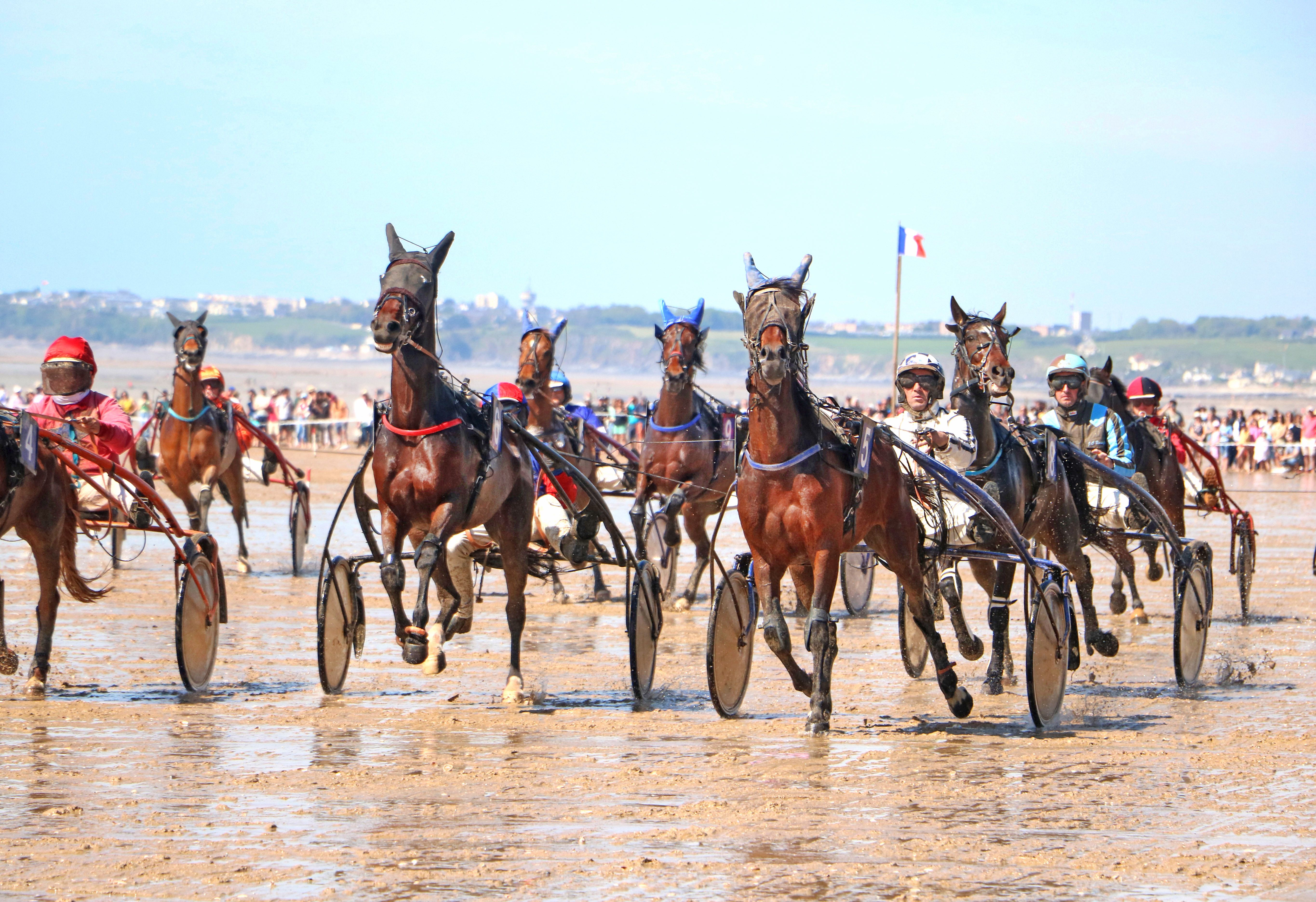 France Races Contain