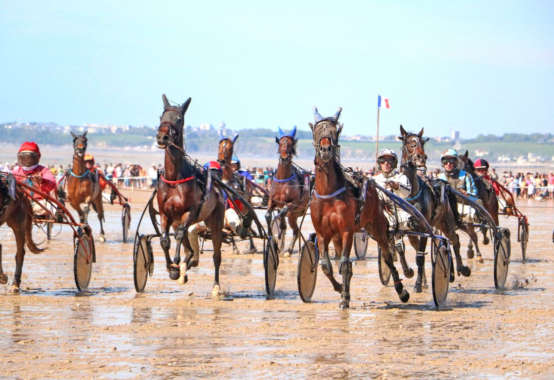 Jullouville Beach Horse Racing Manche What to Expect: The Competition
