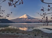 黎明时分，樱花盛开，富士山的美丽风景倒映在湖中