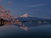 樱花湖上倒映着富士山宁静的傍晚照片