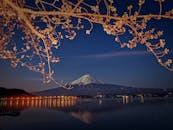 夜色宁静的富士山前，樱花绽放