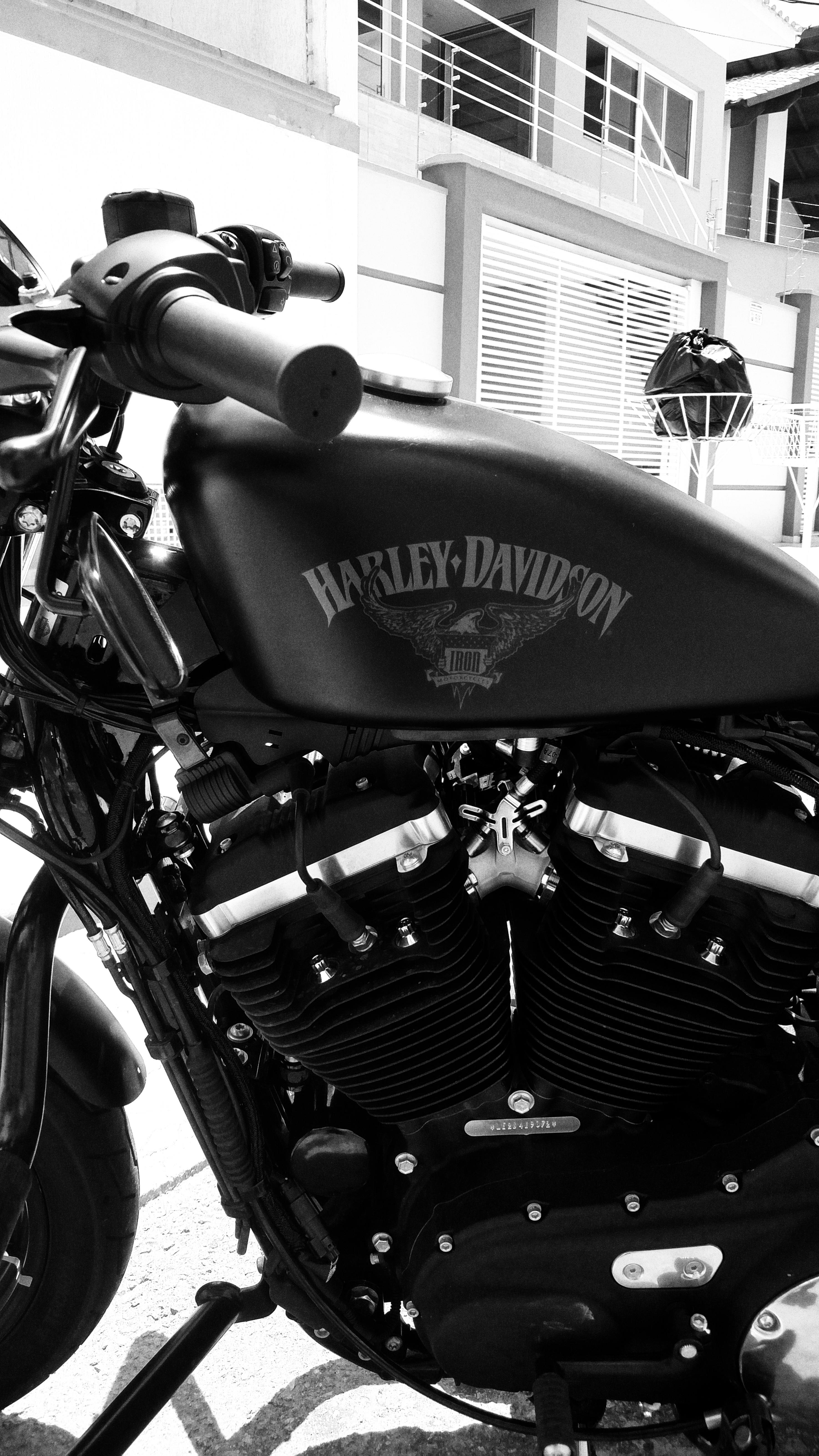 Free stock photo of black and white, motorbikes, motorcycle