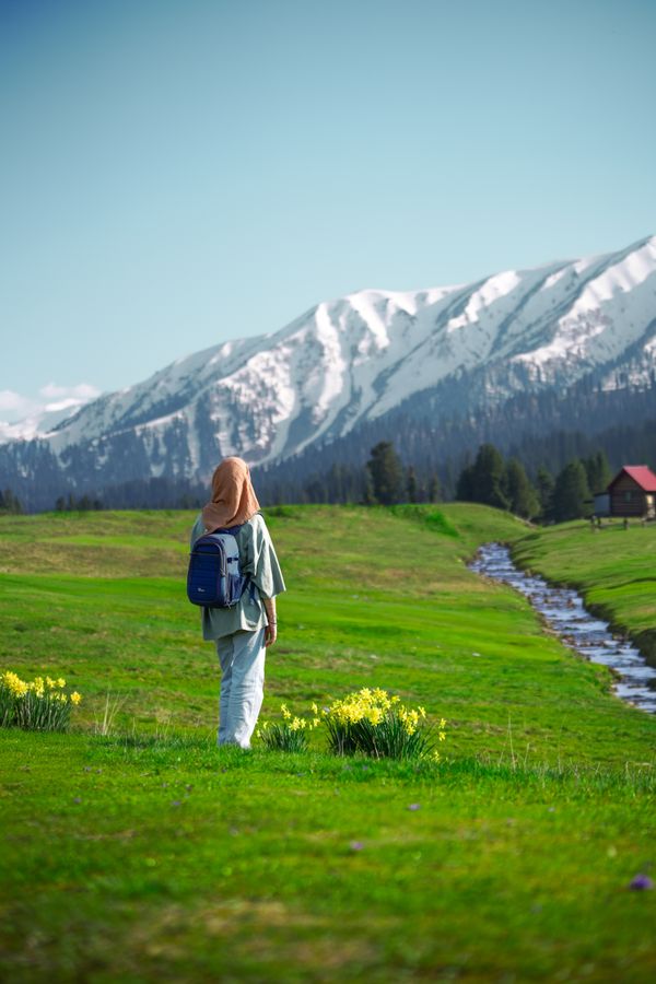 Woman looking at mountains surrounded by scenic natural beauty