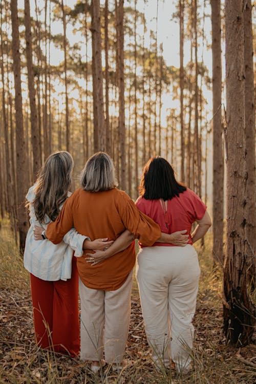 Three women standing in a forest looking at each other