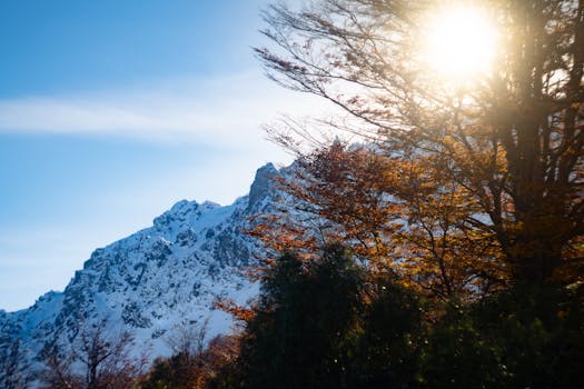 Rio Negro, Argentina photo 9